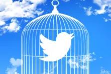 Twitter Bird in Cage